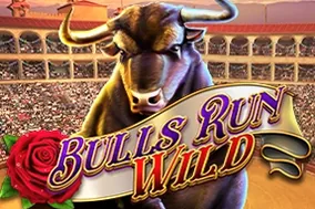 Bulls Run Wild