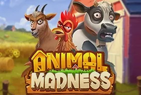 Animal Madness